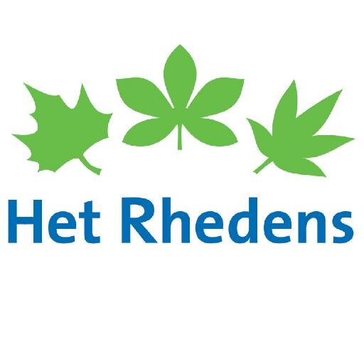 het Rhedens lyceum logo